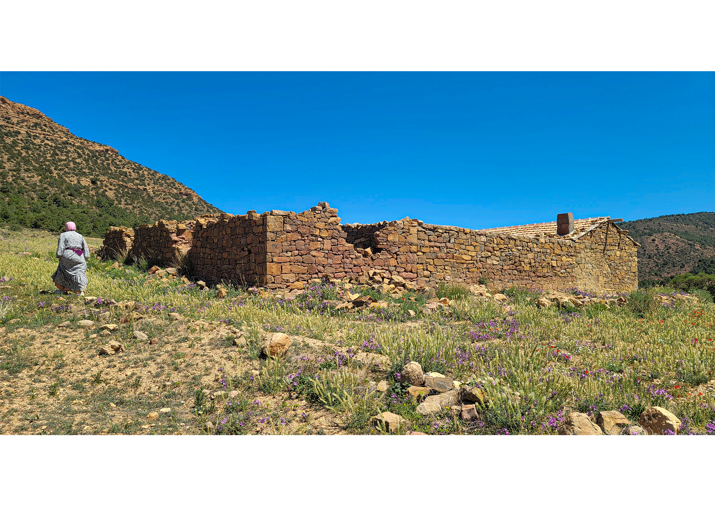 Landscape photograph